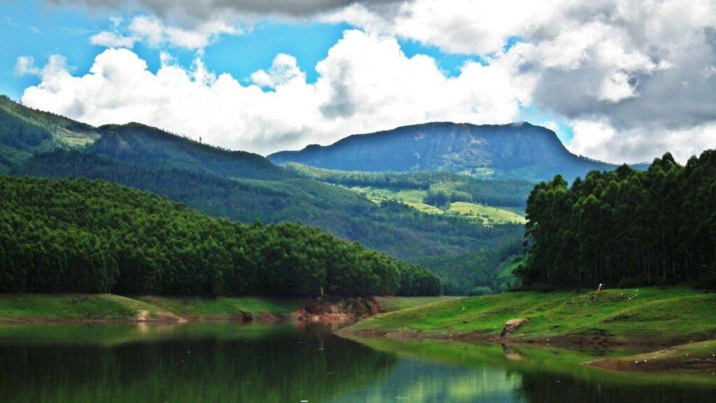 Places to Visit in Munnar